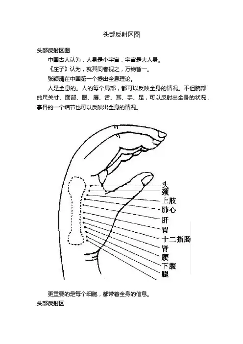 头部反射区图