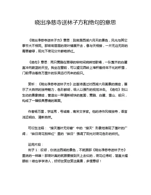 晓出净慈寺送林子方和绝句的意思