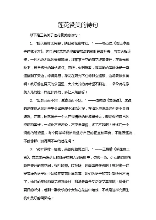 莲花赞美的诗句