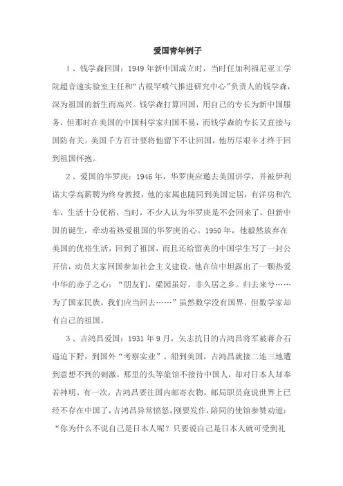 爱国青年例子