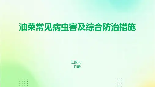 油菜常见病虫害及综合防治措施