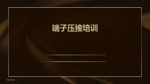 端子压接培训-2024鲜版