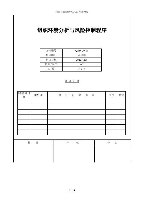 组织环境分析与风险控制程序