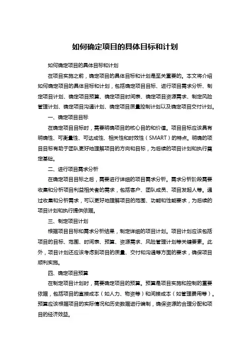 如何确定项目的具体目标和计划