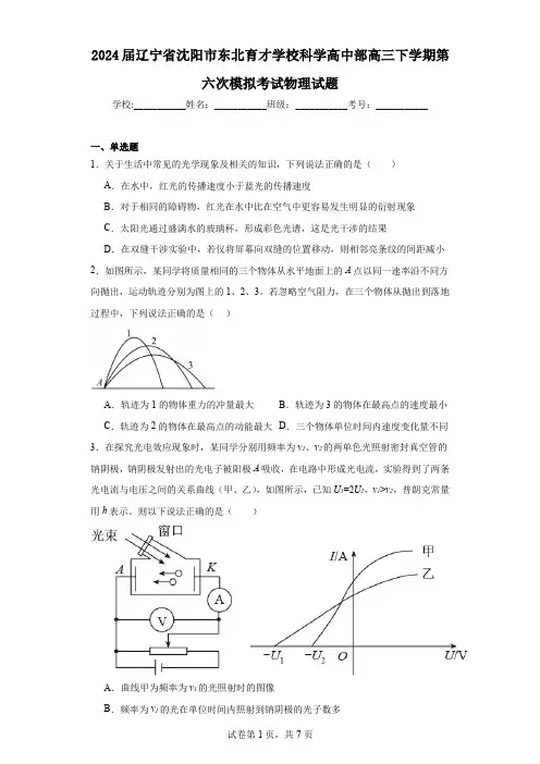 2024届辽宁省沈阳市东北育才学校科学高中部高三下学期第六次模拟考试物理试题