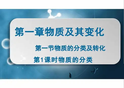 物质的分类 高一上学期化学人教版(2019)必修第一册