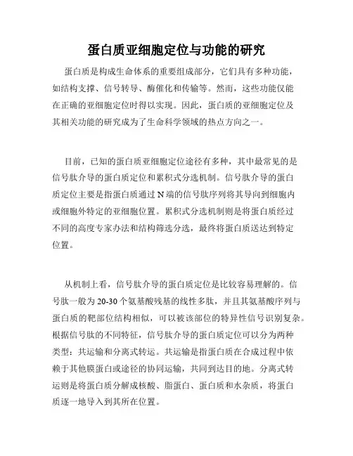 蛋白质亚细胞定位与功能的研究