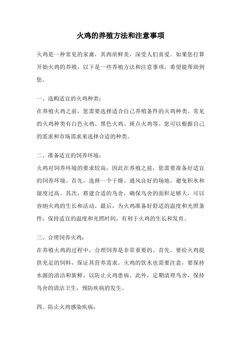 火鸡的养殖方法和注意事项