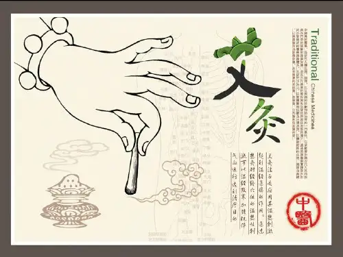 艾灸的方法以及常见病的艾灸治疗PPT课件