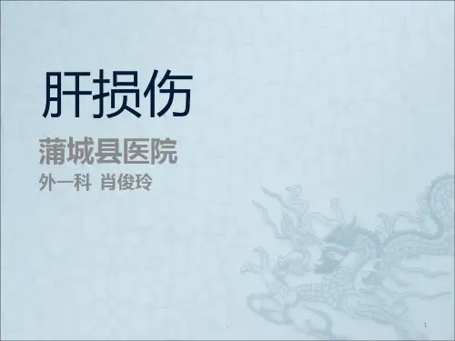 肝损伤ppt课件