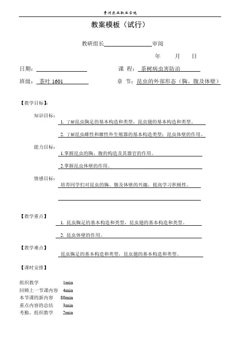 昆虫的外部形态(胸、腹、体壁)-教案