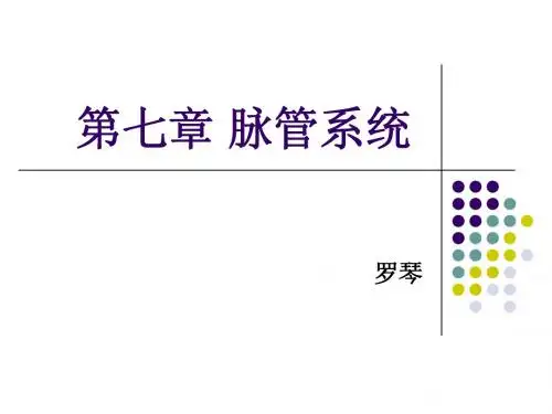 第七章 脉管系统总论及心脏-解剖学
