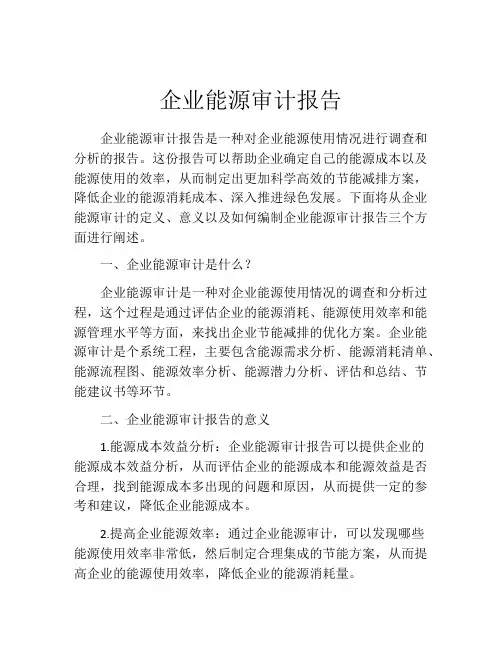 企业能源审计报告