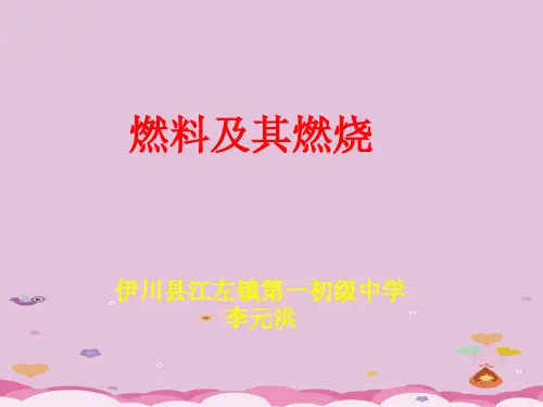 燃料及其燃烧PPT课件 人教版