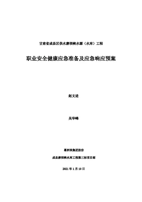 职业安全健康应急处置方案实用文档