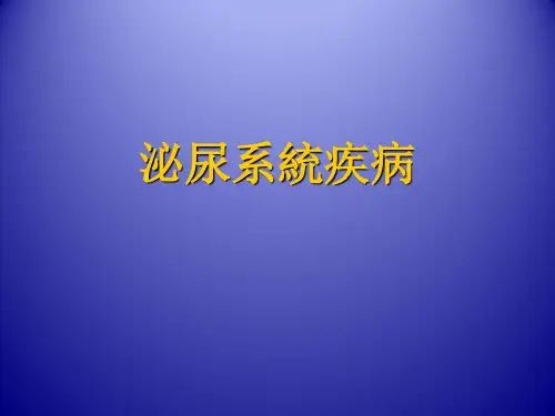 泌尿系统疾病 PPT课件