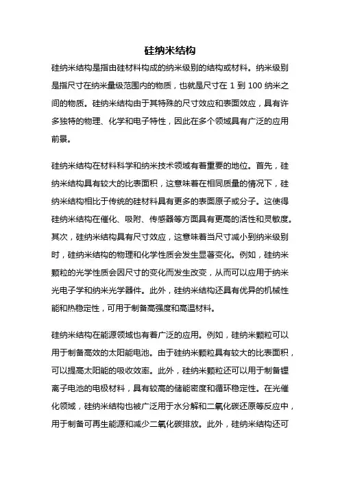 硅纳米结构