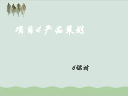 某市场产品策划及项目管理知识分析PPT课件(32页)