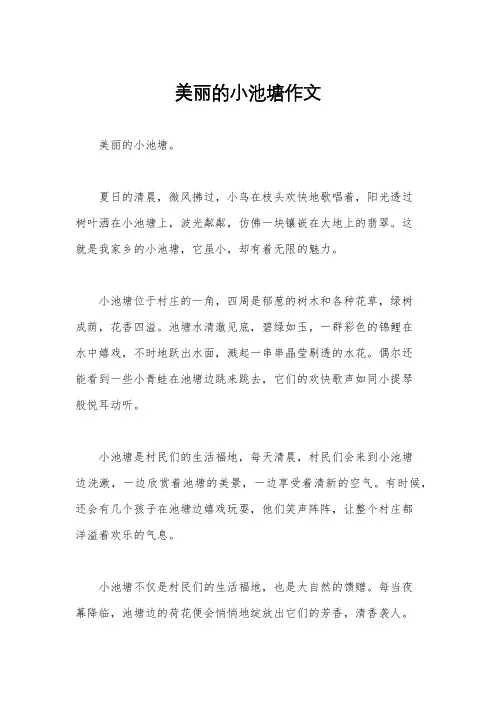 美丽的小池塘作文