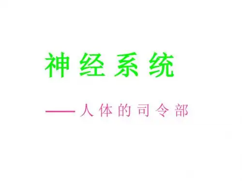 §1-1.10 神 经 系 统