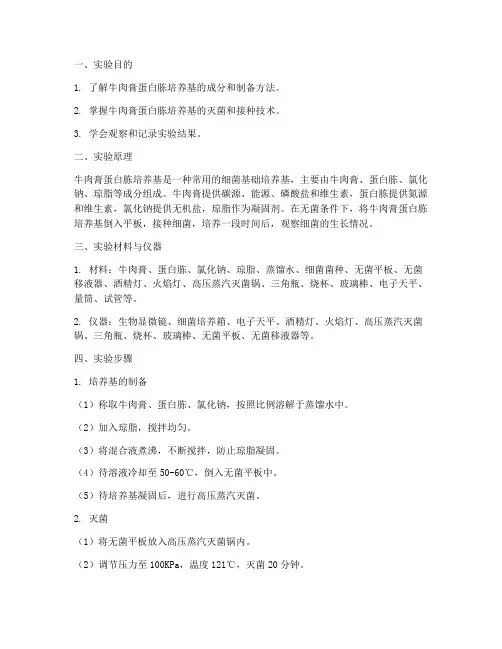牛肉膏蛋白胨实验实训报告