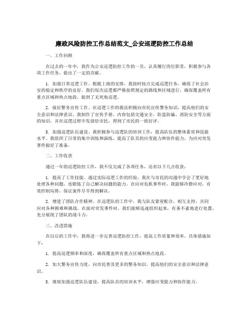 廉政风险防控工作总结范文_公安巡逻防控工作总结