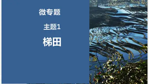 高考地理一轮复习课件微专题之梯田