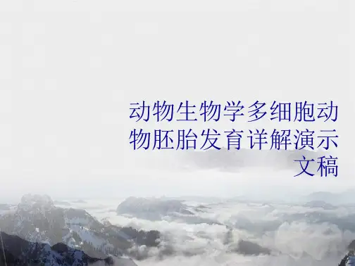 动物生物学多细胞动物胚胎发育详解演示文稿