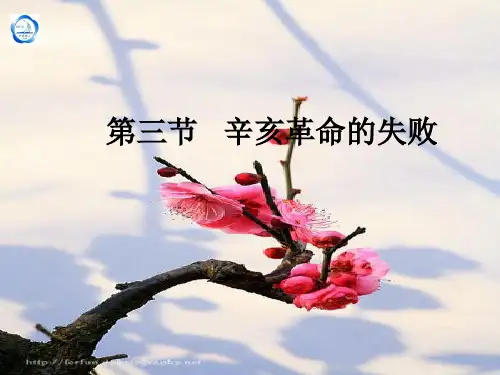 第3节 辛亥革命的失败