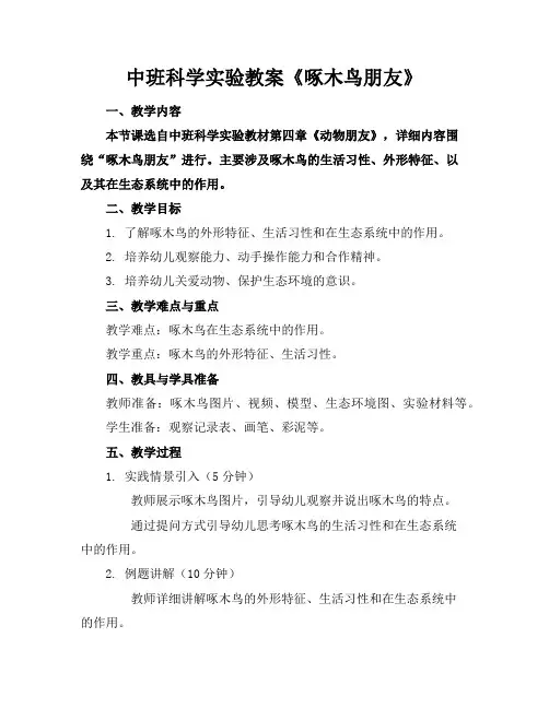 中班科学实验教案《啄木鸟朋友》