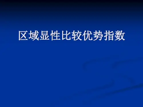 区域显性比较优势指数(PPT-12)