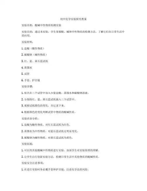 初中化学实验探究教案