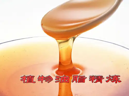 油脂精炼讲义