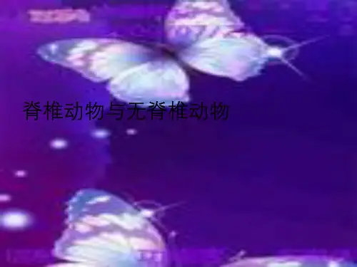 脊椎动物与无脊椎动物(主要介绍无脊椎动物)
