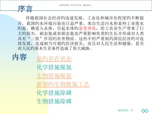 新版脱氮除磷工艺