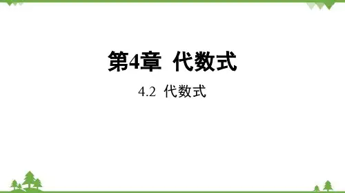 4.1.2 代数式 浙教版数学七年级上册课件