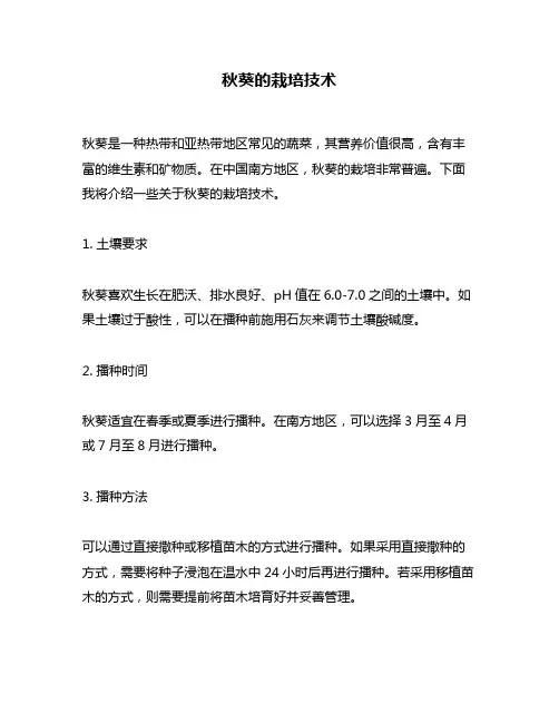 秋葵的栽培技术