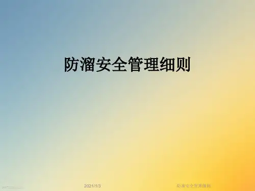 防溜安全管理细则