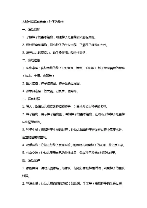 大班科学活动教案：种子的秘密