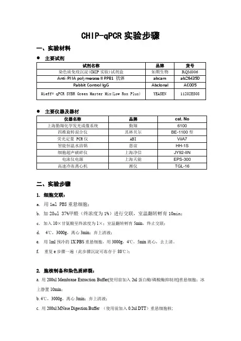 CHIP实验步骤