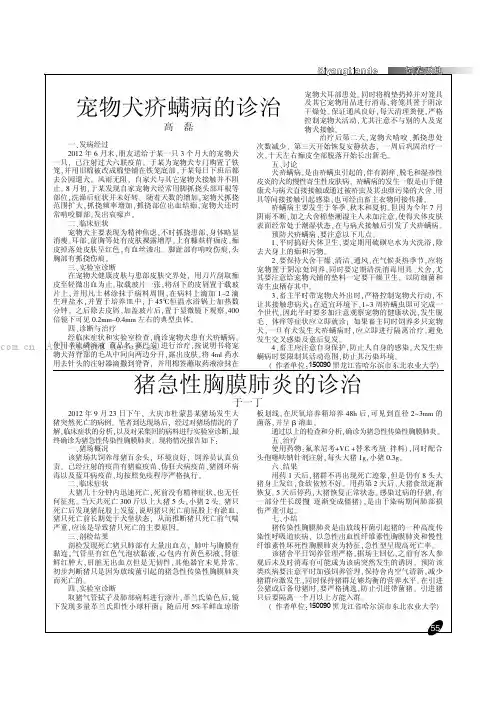宠物犬疥螨病的诊治