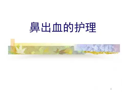 鼻出血ppt课件