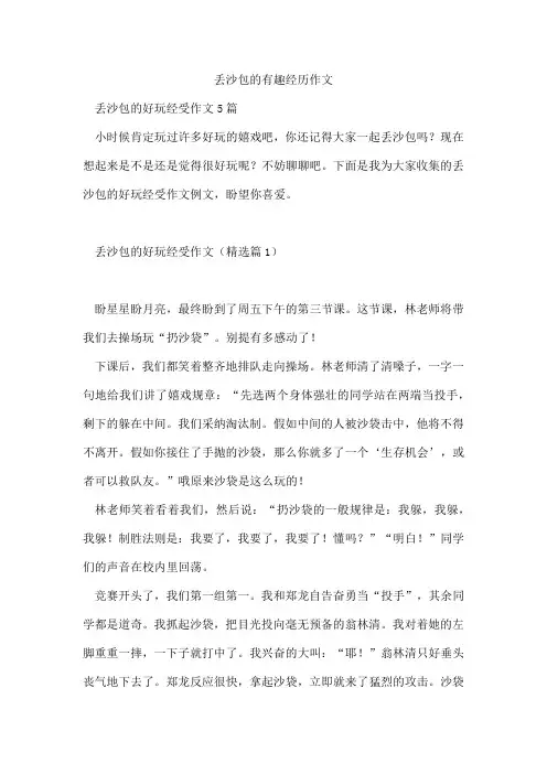丢沙包的有趣经历作文