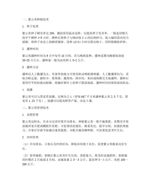紫云英种植技术及管理