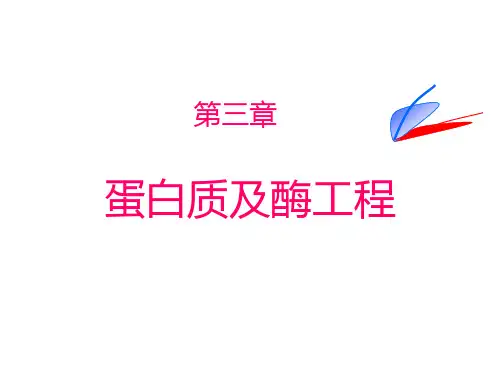 第三章 蛋白质及酶工程