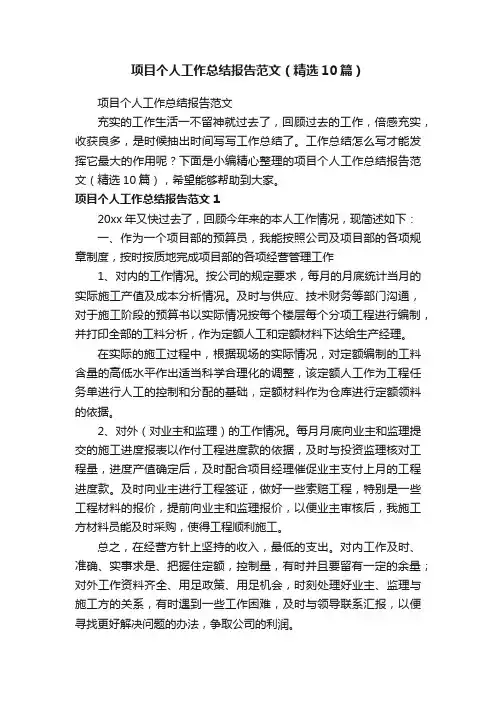 项目个人工作总结报告范文（精选10篇）