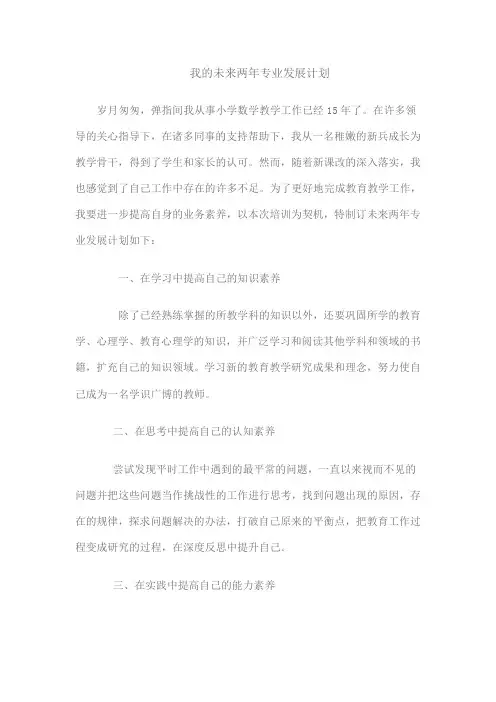 我的未来两年专业发展计划
