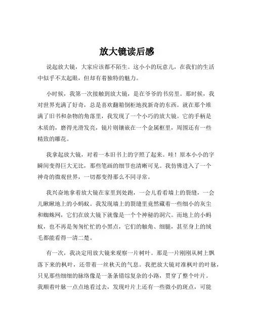 放大镜读后感