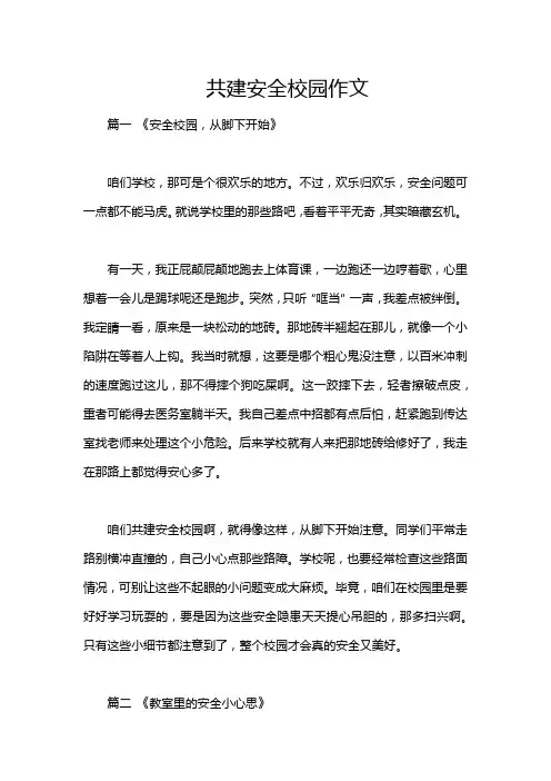 共建安全校园作文