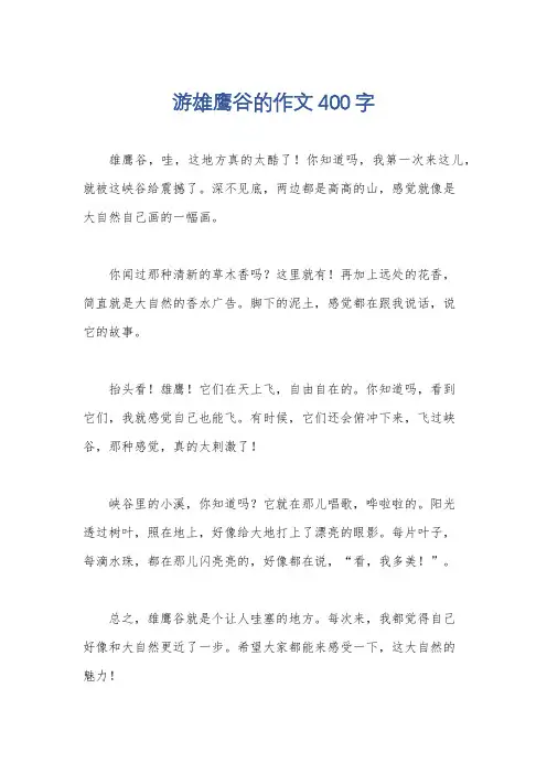 游雄鹰谷的作文400字